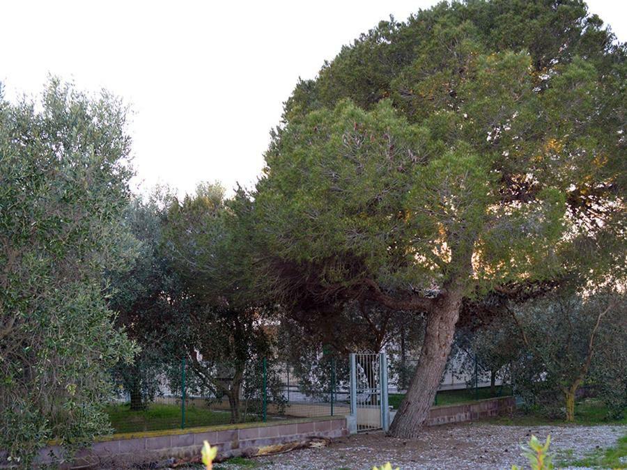 Agriturismo Olivomare Piombino Exterior photo